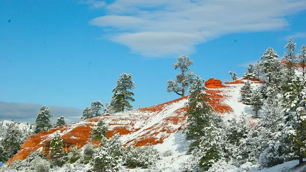 Bryce_Canyon,_Utah_246 by Ron Meade