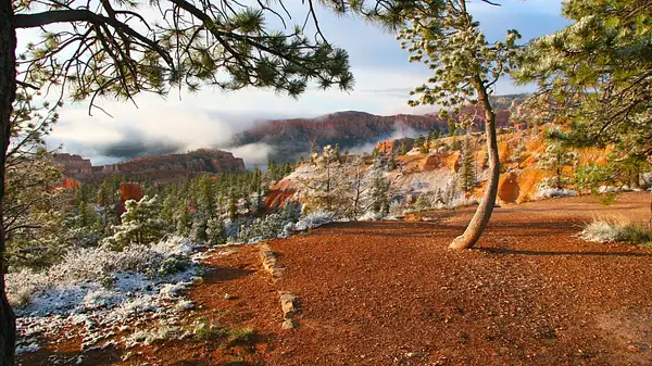 Bryce_Canyon,_Utah_214 by Ron Meade