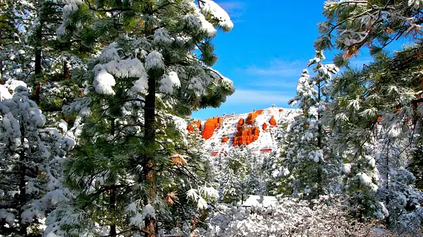 Bryce_Canyon,_Utah_254 by Ron Meade