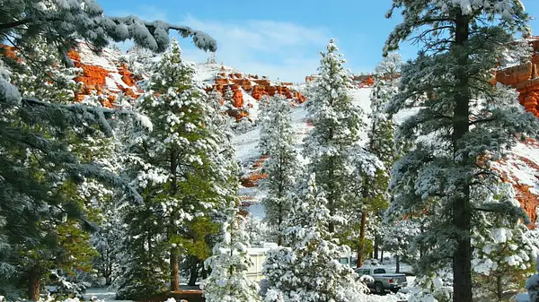 Bryce_Canyon,_Utah_256 by Ron Meade