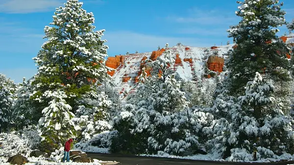 Bryce_Canyon,_Utah_257 by Ron Meade