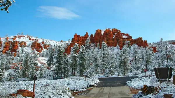 Bryce_Canyon,_Utah_266 by Ron Meade