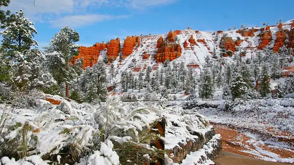 Bryce_Canyon,_Utah_267 by Ron Meade