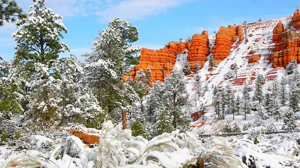 Bryce_Canyon,_Utah_268 by Ron Meade