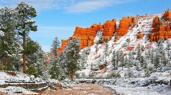 Bryce_Canyon,_Utah_269 by Ron Meade