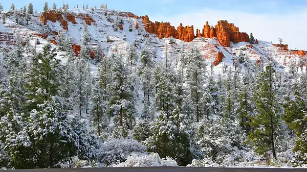 Bryce_Canyon,_Utah_272 by Ron Meade