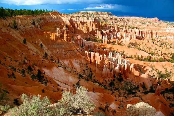 Bryce Canyon Nationl Park by Ron Meade