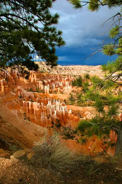 Bryce National Park by Ron Meade