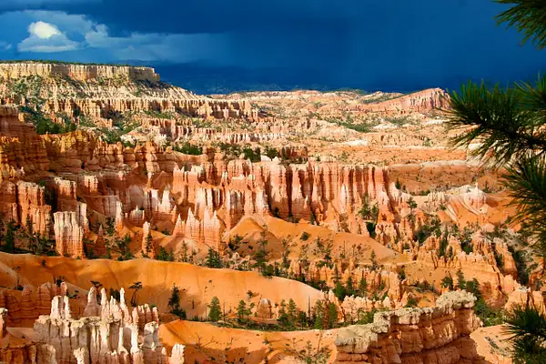 Bryce Canyon Nationl Park by Ron Meade