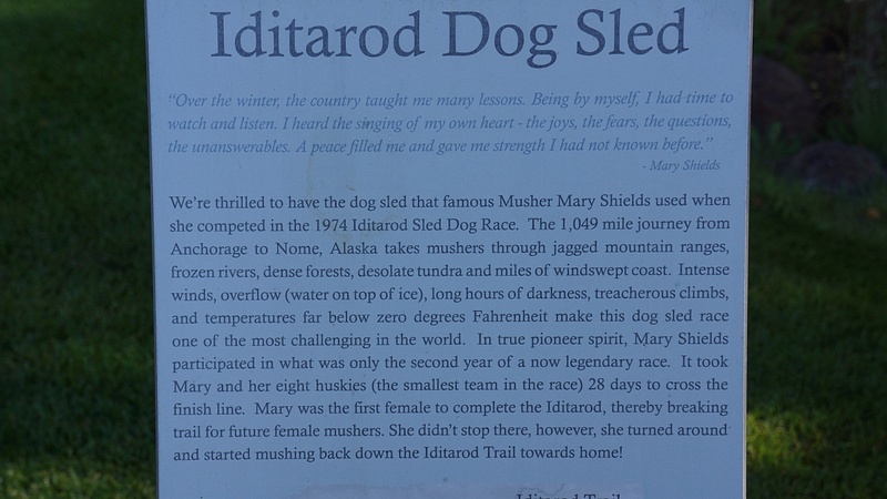 Iditarod Dog Sled