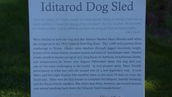 Iditarod Dog Sled by Ron Meade