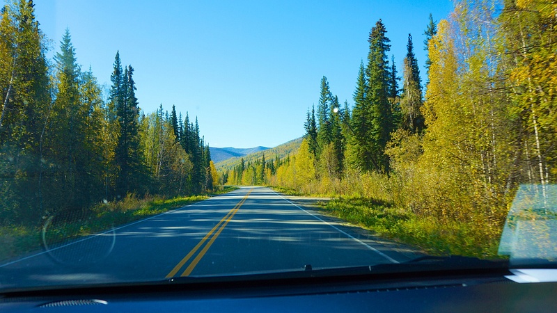 Road to Chena Hot Springs
