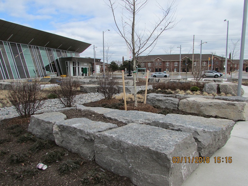 Landscaping outside the Renforth Station