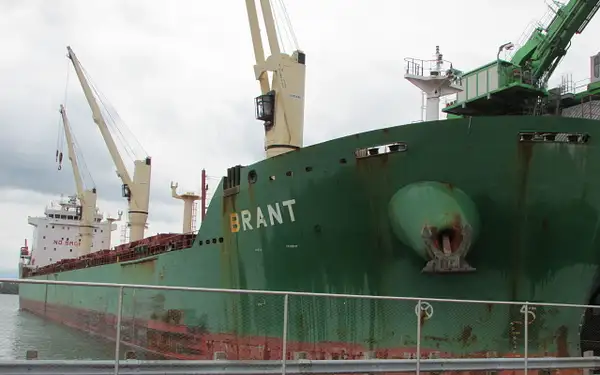 MV Brant unloading at Redpath 10-9-15 by RobertArcher