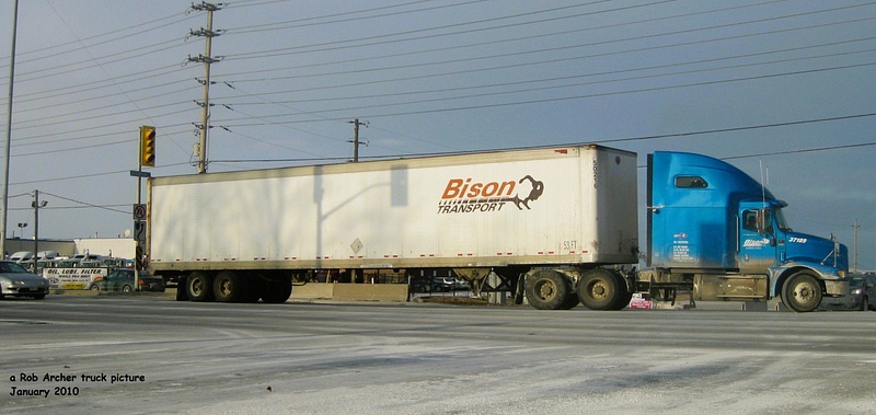Bison at Interport January 2010