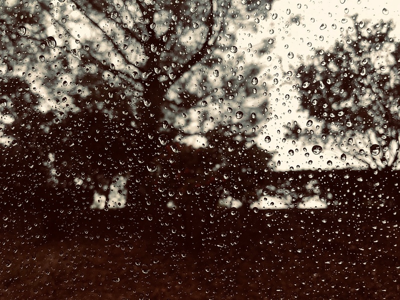 Rain and Nature