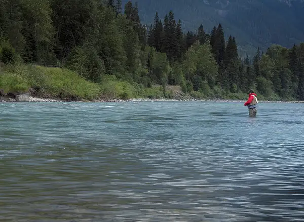elk-river-kootenays-bc-mike-cotton-photography-1-2 by...
