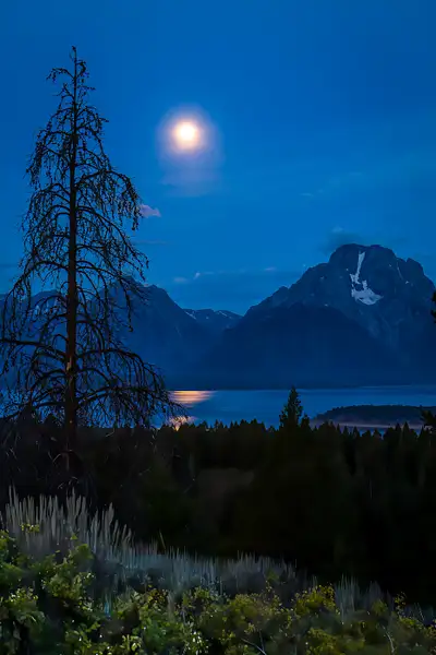 Moonlight in the Tetons by LesKrieke23492