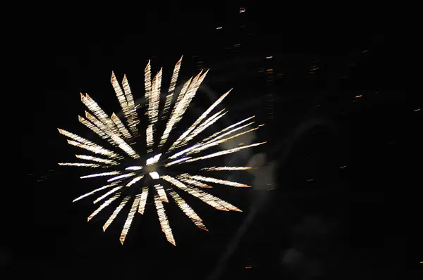 FireworksPet5 by UnitedPullersofAmerica