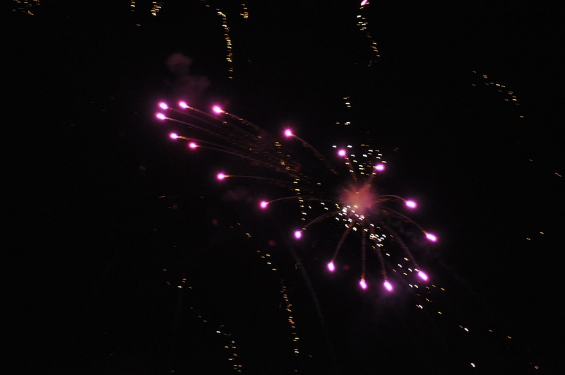 FireworksPet8