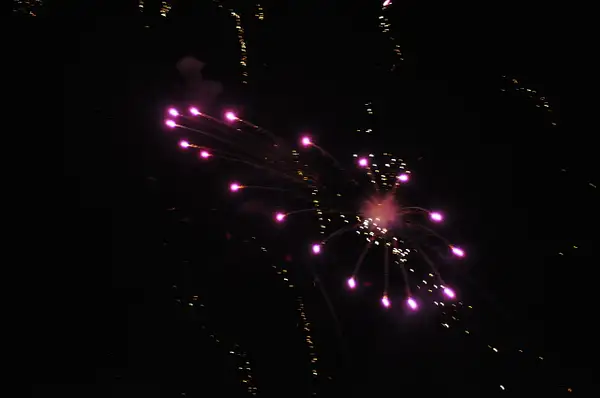 FireworksPet8 by UnitedPullersofAmerica