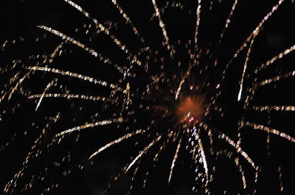 FireworksPet9 by UnitedPullersofAmerica