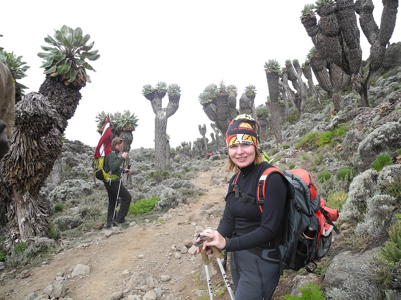 20120120_142640-kilimanjaro_942