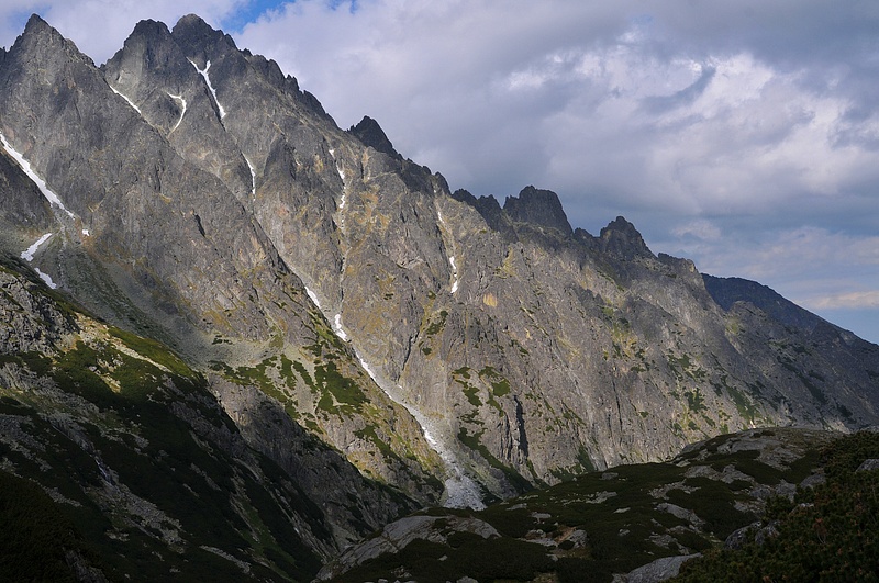 Thorns of High Tatras