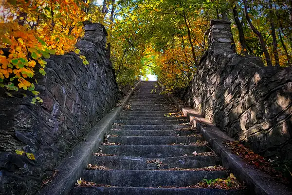 Autumn Steps by Shelby L. Bell