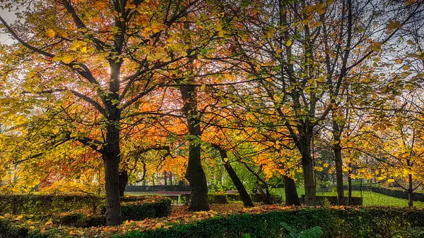 Autumn Colours 2020 by Mike Ellison