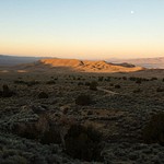 Buena Vista Valley Nevada - March 2015