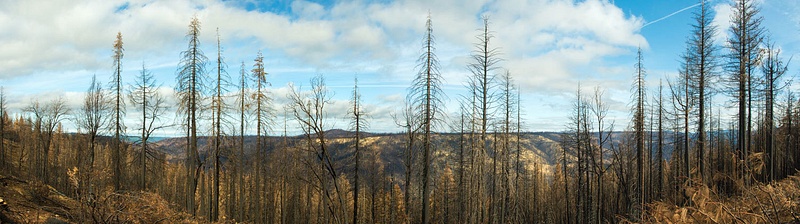 Rubicon-King-Fire-Panorama1-copy