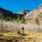 Lundy Canyon - October 2015
