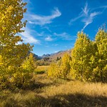 Eastern Sierra Fall Colors - October 2016