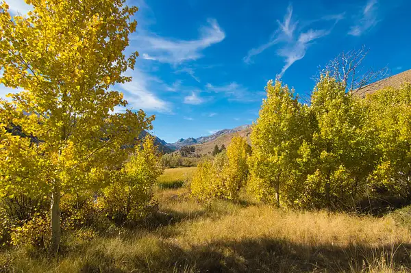 Eastern Sierra Fall Colors - October 2016 by Ski3pin