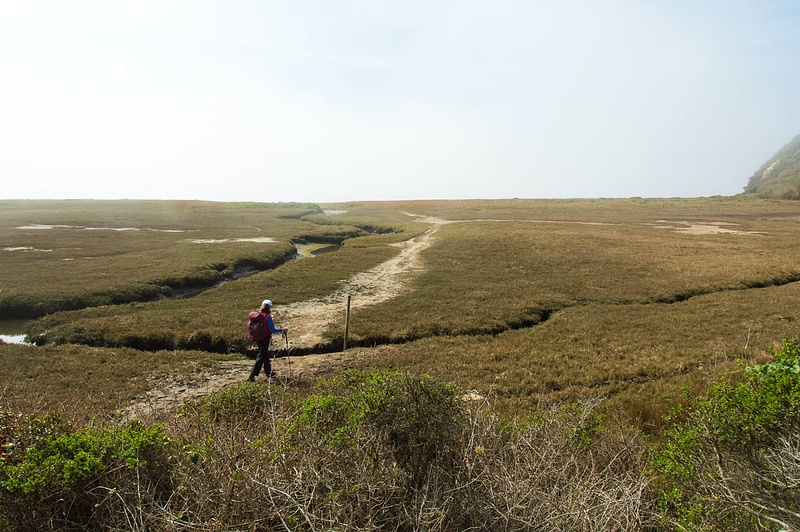 Point-Reyes-March2018-093-copy