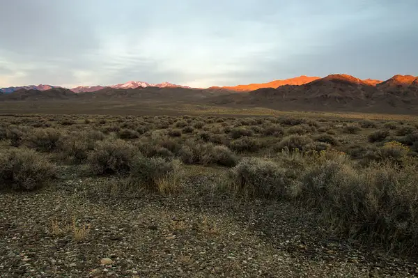 Dixie Valley, Nevada - February 2020 by Ski3pin
