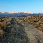 White Mountains Nevada - October 1020