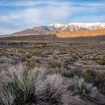 Owens Valley - May 2023
