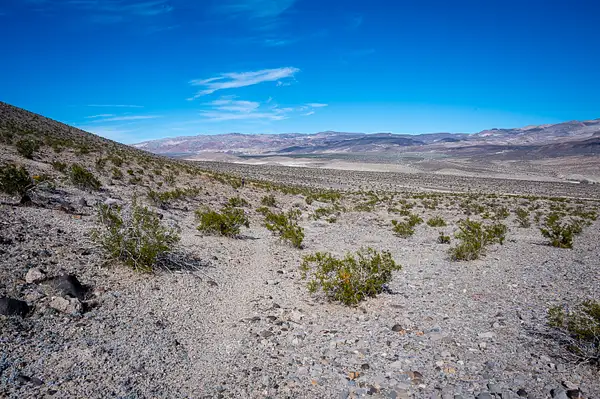 Death-Valley-202402-copy-168 by Ski3pin