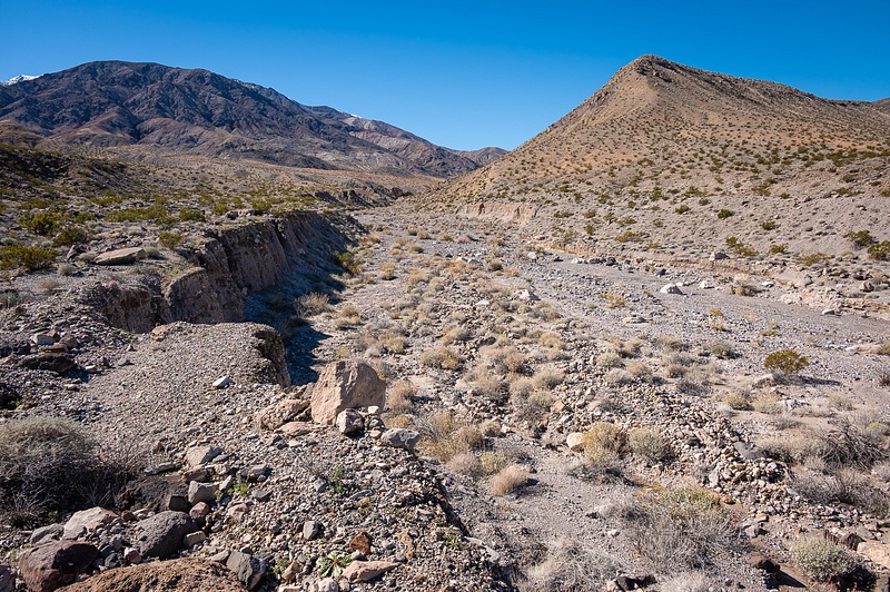 Death-Valley-2-202402-copy-158