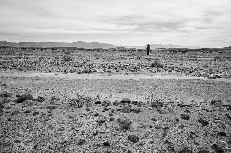 Death-Valley-2-202402-copy-263