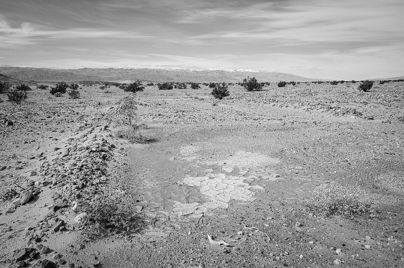 Death-Valley-2-202402-copy-272