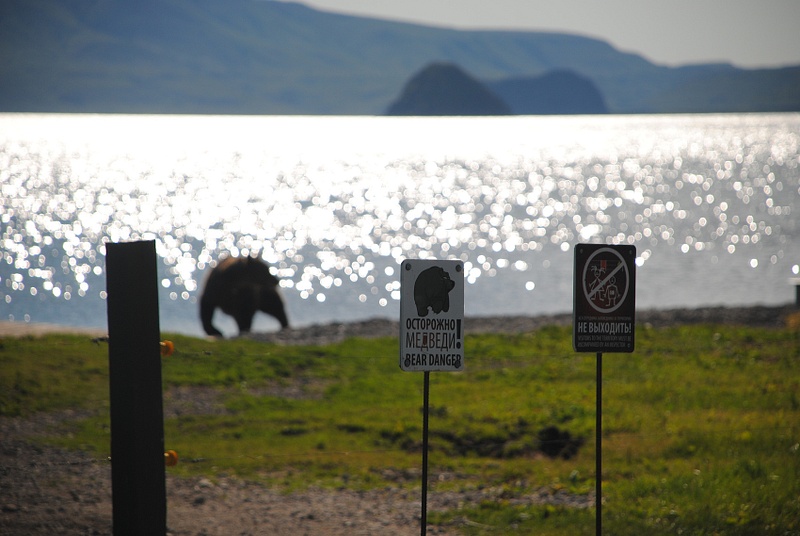 Beware of the bears :)