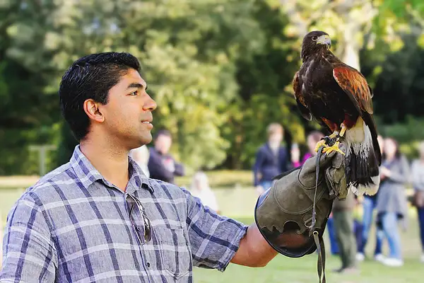 Falconry by Alpha Whiskey Photography by Alpha Whiskey...