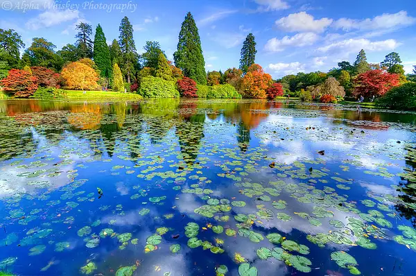 Sheffield Park And Garden by Alpha Whiskey Photography