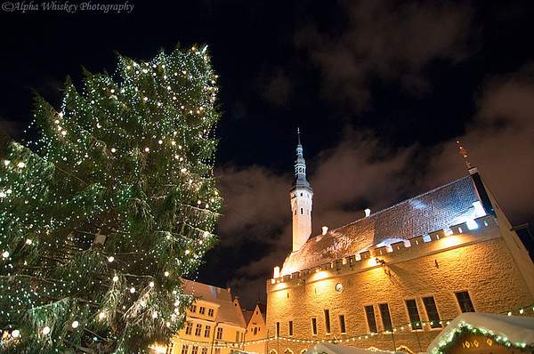 Christmas in Tallinn by Alpha Whiskey Photography