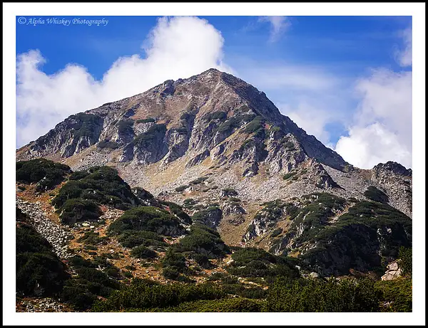 Pirin by Alpha Whiskey Photography