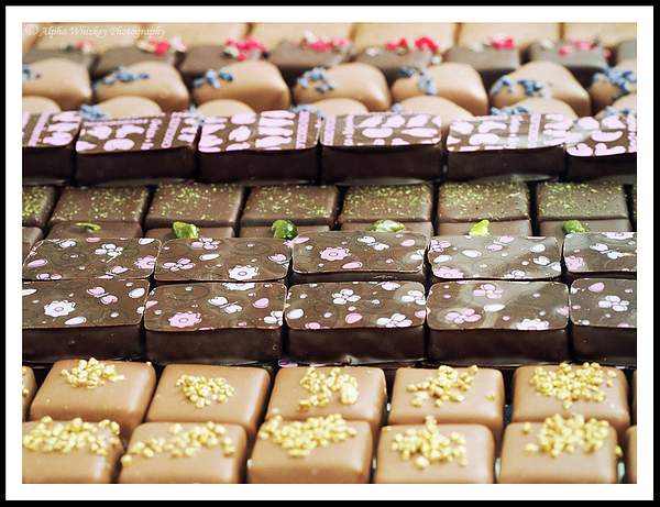 Chocolate Festival by Alpha Whiskey Photography by Alpha...