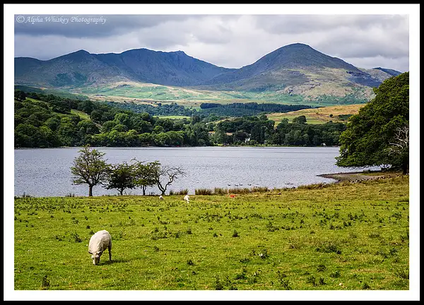 Coniston Water by Alpha Whiskey Photography